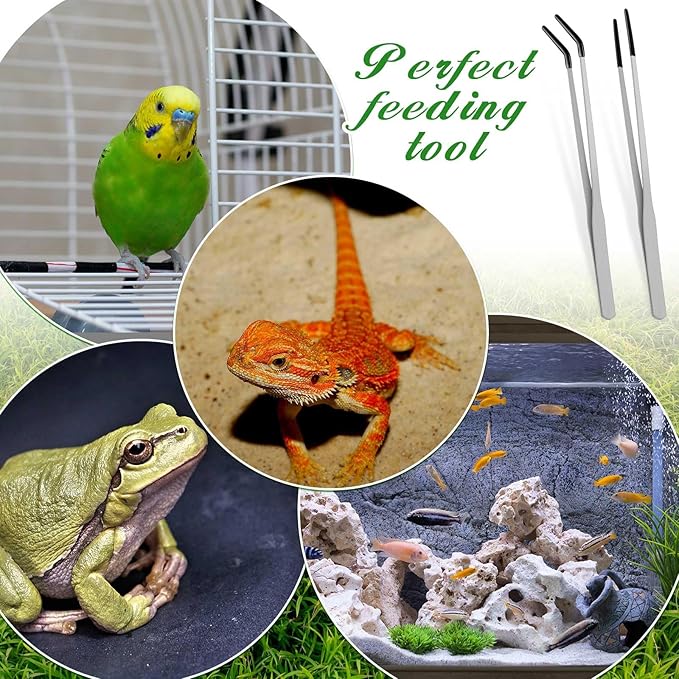 Lasnten 2 Pcs Extra Long Stainless Steel Reptile Feeding Tongs with Rubber Tip 10 Inch, 10.5 Inch Bearded Dragon Aquarium Straight and Curved Long Tweezer Terrarium Feeder Tool for Tank(Silver)