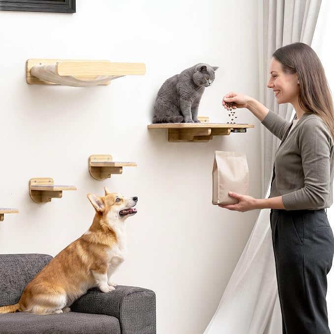 Cat Wall Shelves - Wall Mounted Cat Shelves with Feeding Station | Natural Wood Finish, Solid Pinewood, Beige Carpet, Supports Up to 33 lbs, Stainless Bowls, Dog-proof, Lounging, Climbing