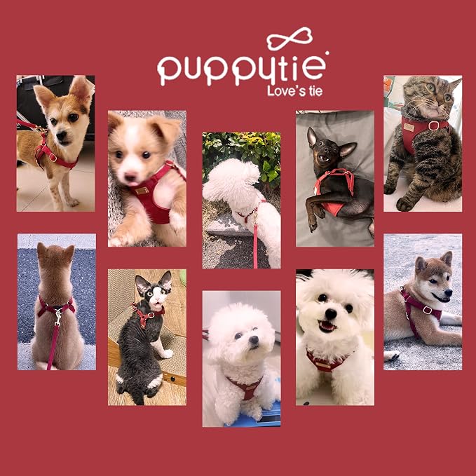 Puppytie Small Dog Harness with Multifunction Dog Leash,Lightweight Soft Adjustable No Choke Escape Proof Pet Harness Vest Pet Harness Vest,red Hawthorn,S