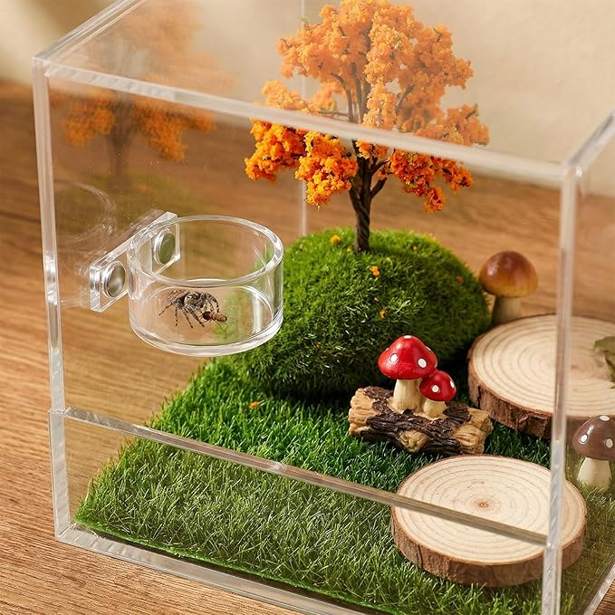 Jumping Spider Feeding Dish with Tweezers, Tiny Magnetic Water Bowl Spider Enclosure Accessories 1 PCS 4x2cm
