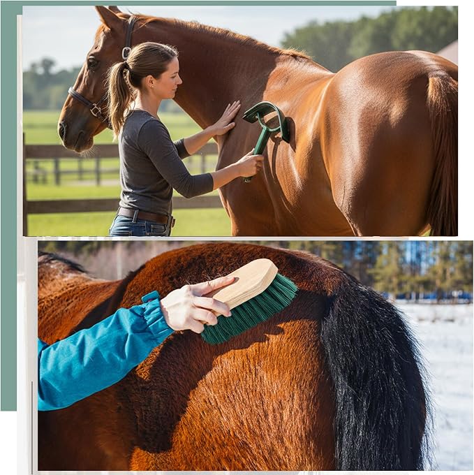 Abbylike 12 Pieces Horse Grooming Kit Racing Festival Tack Room Supplies Horse Brush Sets Equine Care Cleaning Kit Shedding Grooming Massaging Tools (Khaki and Green)