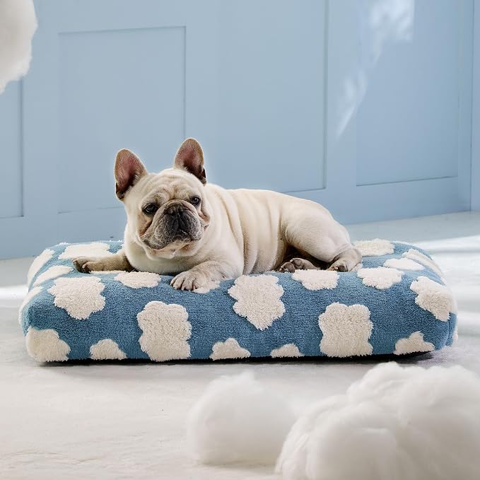 LE SURE Cute Aesthetic Bed Medium Size Dog,Jacquard Thick Pet Pillow 30x20 | Shredded Chopped Foam,Modern Plush Crate Cushion Gift for Medium Size Dog, Waterproof Washable Cover, Nonslip Bottom, Blue
