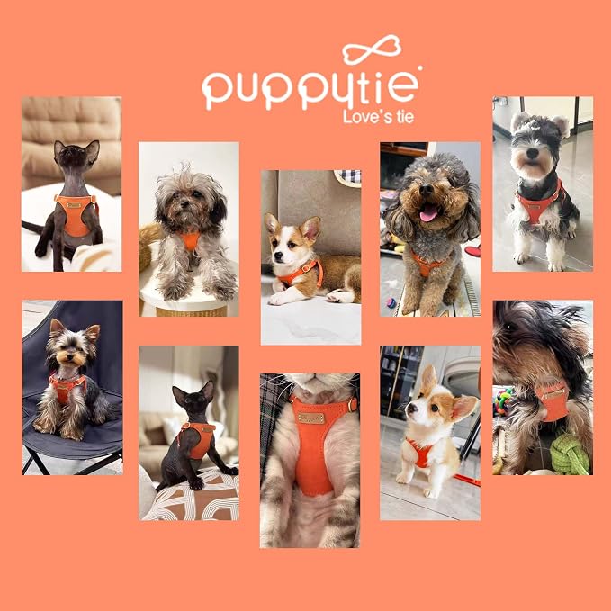 Puppytie xs Dog Harness with Multifunction Dog Leash,Soft Adjustable No Choke Escape Proof Pet Harness Vest,Orange,XS