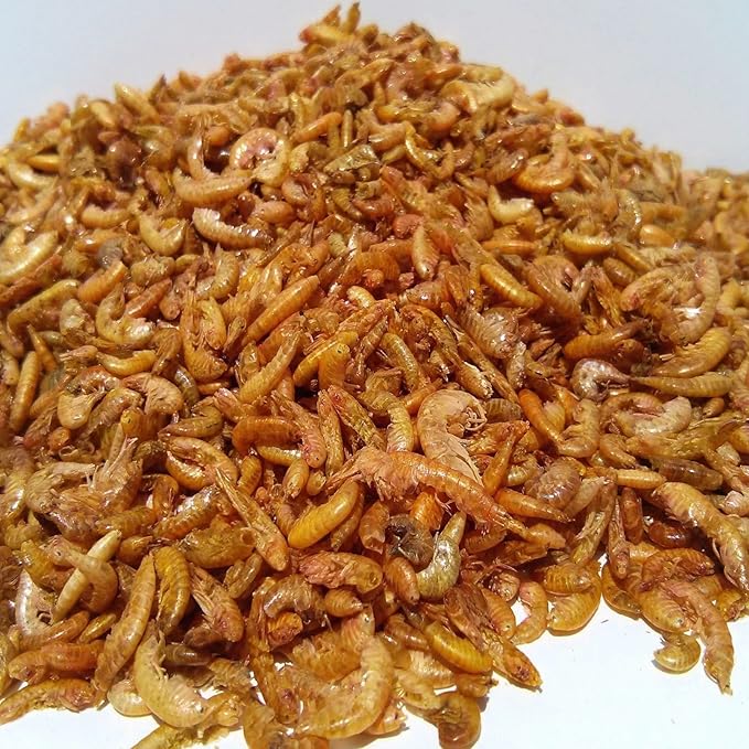 Aquatic Foods Inc. Gammarus - Freeze Dried Gammarus for Small & Medium Tropical Fish, Cichlids, Groumis, Catfish, Marine Fish, Corals, Anemones, Baby Koi and Pond Fish - 1/2-lb
