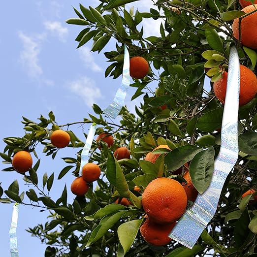 Bird B Gone Holographic Flash Tape (150ft Roll) - Reflective Bird Deterrent Tape - Scare Birds Away from Gardens, Fruit Trees, Patios & Boats - Bird Scare Tape for Pigeons, Woodpeckers, Sparrows