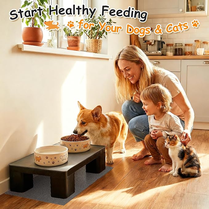 Elevated Dog Bowl Stand with Waterproof Dog Food Mat, Non-Slip, 1 Pc, Black | Reduce Neck & Joint Strain, Easy to Clean Silicone Pet Feeding Mat, Sturdy Legs, Ideal for Small & Medium Dogs and Cats