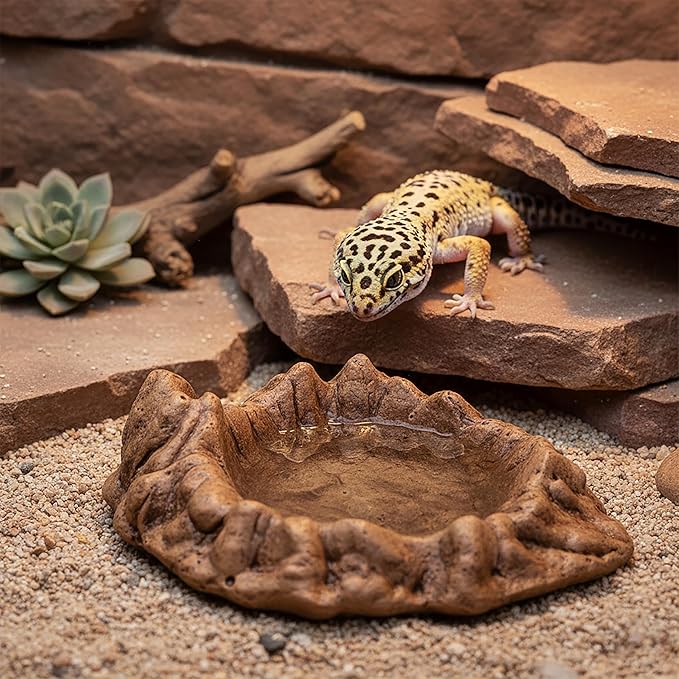 Reptile Water and Food Bowl with Feeding Tweezers Volcanic Rock Style Cement Feeding Dish for Bearded Dragon Leopard Gecko Lizard and Snake Non-Tip Terrarium Decor Landscape Accessory (Brown)