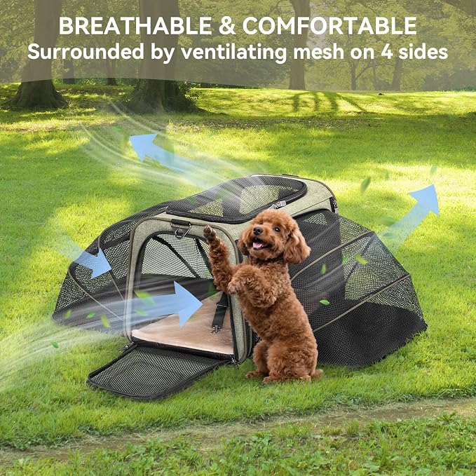 Petsfit Expandable Cat Dog Carrier Airline Approved, 17" L x 11" W x 11" H Soft-Sided Portable Pet Travel Carrier for Kitten, Puppy, Removable Soft Plush Mat and Pockets, Auto-Locking Zippers