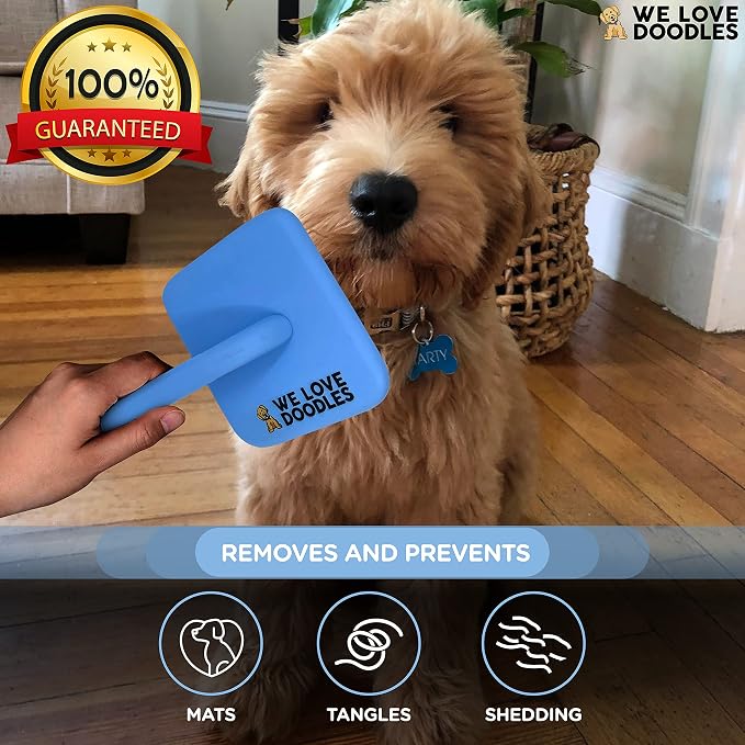 Slicker Brush for Dogs, Pet Grooming Brushes for Doodles & Poodles, Large | Best Brush For Long Haired Dogs, Dematting Comb & Deshedding Tools For Goldendoodle Coats, Puppy Matting Grooming Supplies