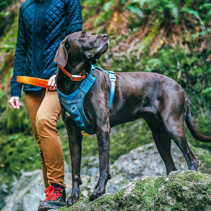 Kurgo Journey Air Dog Harness, Blue, Large | Padded Chest, Ripstop Outer & Breathable Mesh, Back Assist Handle, Rust-Free Aluminum Hardware, Reflective Trim