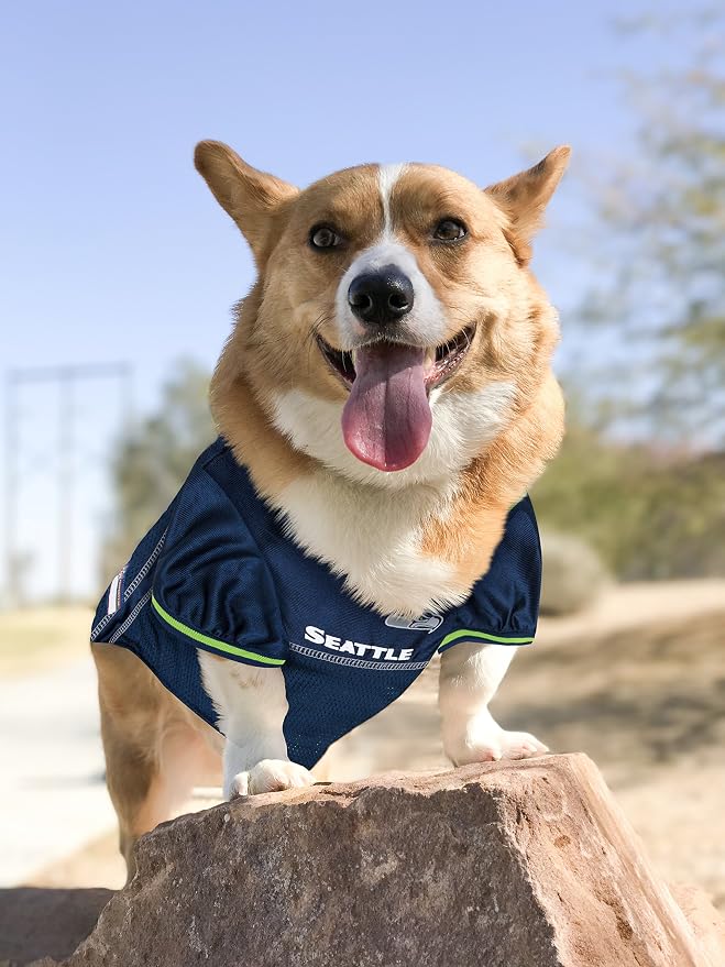 NFL Seattle Seahawks PET GIFT BOX with 2 Licensed DOG TOYS, 1 Logo-engraved NATURAL DOG TREAT, 1 NFL JERSEY, 1 NFL Puppy Training Bells & 1 Car Seatbelt