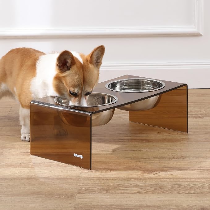 DBL2001D Keaton 7.5" Medium/Large Modern Acrylic Rectangular Elevated Pet Feeder with 54oz 2-Stainless Steel Bowls, Amber/Chrome