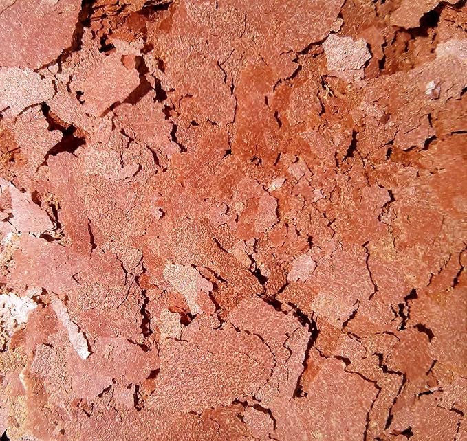Aquatic Foods Inc. Bloodworm Flakes, High Protein Bloodworm Flakes for Discus, Cichlids, Tetras, Guppies, Live Bearers, All Community Tropical Fish - Premium AF Flakes - 1-lb