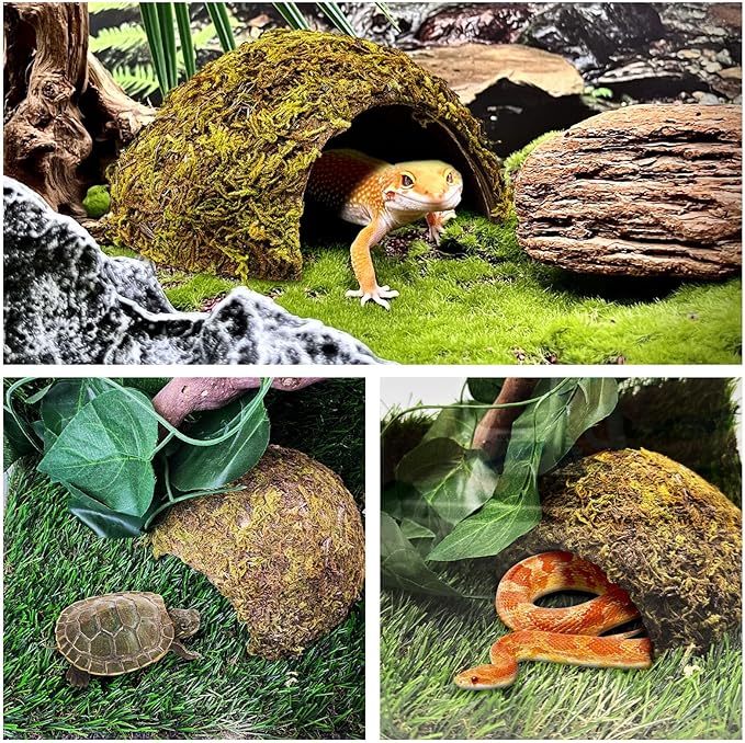 PINVNBY 4 Pack Natural Green Moss Hide Caves Coconut Reptile Hideouts Hamster Climbing Toys Gecko Habitat Decor Lizard Shell Shelter for Snake Tarantulas Turtle Chameleon
