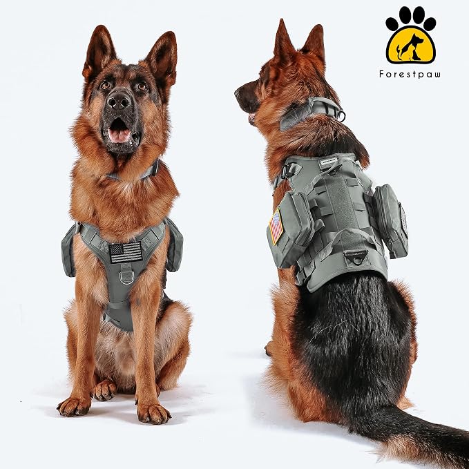 Forestpaw Tactical Dog Harness Tactical Dog Collar with Bungee Leash Set,No Pull Military Dog Harness for Walking Training,Adjustable for Medium Dogs,Gray,Chest 17-25"