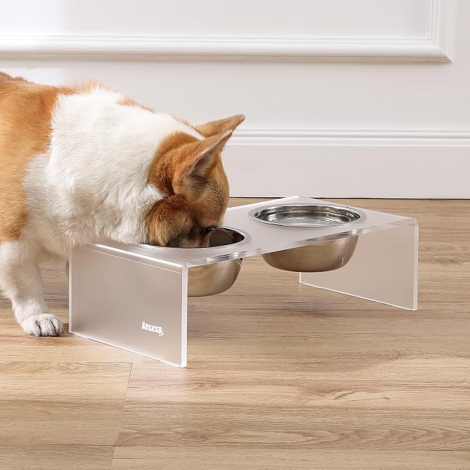 DBL2000K Keaton 5" Small/Medium Modern Acrylic Rectangular Elevated Pet Feeder with 20oz 2-Stainless Steel Bowls, Moon White/Chrome