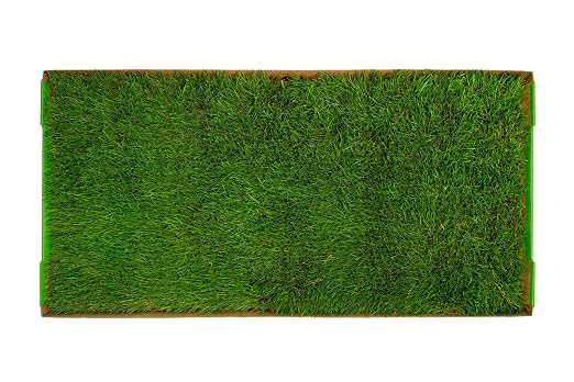 DoggieLawn Real Grass Dog Pee Pads with Tray - XLarge Dog Potty Pad 48x24 | No-cleaning, odor-reducing puppy potty training pad for housebreaking, indoor or outdoor use, real grass, replace when needed