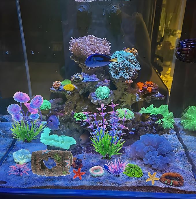 9Pcs Tank Accessories for Beta Fish,Small Fish Tank Decorations, Beta Fish Tank Starter Kit