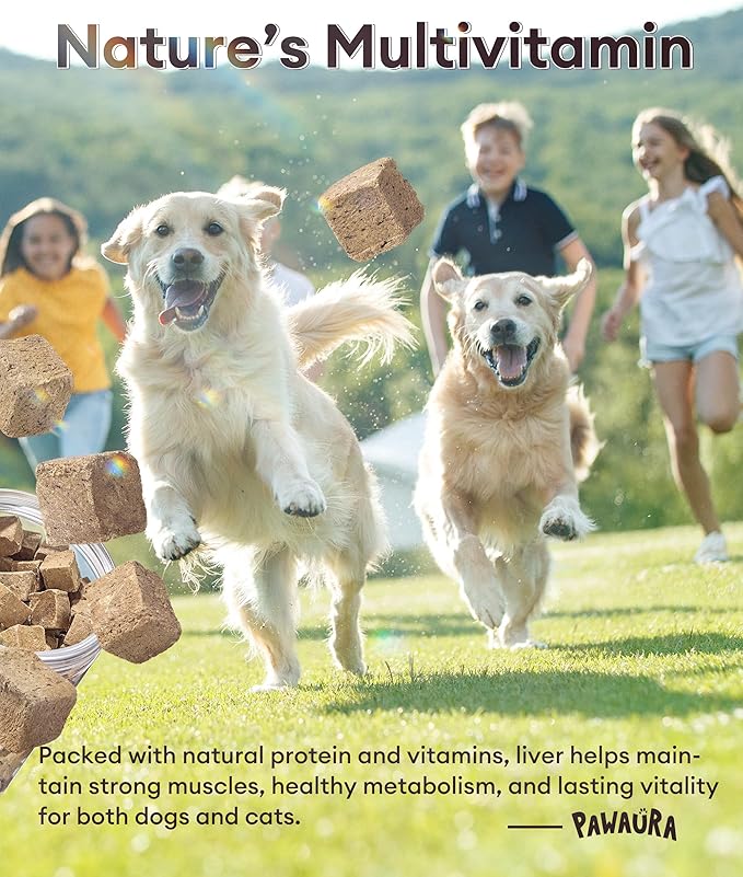 Freeze-Dried Chicken Liver Treats for Dogs & Cats, Single Ingredient, High-Protein, Grain-Free, All-Natural Pet Snack, Resealable Tub, Great for Training or Meal Topper, 3.53oz