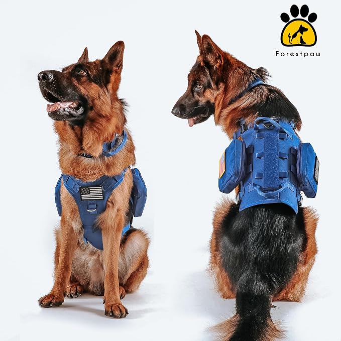Forestpaw Tactical Dog Harness Tactical Dog Collar with Bungee Leash Set,No Pull Military Dog Harness for Walking Training,Adjustable for Medium Dogs,Blue,Chest 17-25"