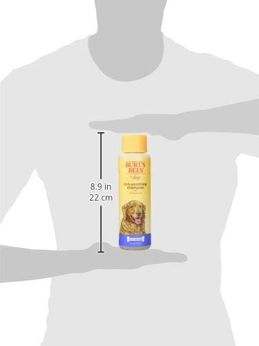 BURT'S BEES FOR PETS Itch Soothing Dog Shampoo for Itchy Skin, pH Balanced Honeysuckle with Skin-Conditioning Honey, 95%+ Natural Origin Formula, No Sulfates, Fragrances, or Colorants, 16 Fl Oz
