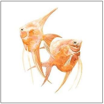Discus Fish B by Emma Scarvey, 2 Piece Unframed Art Print Set, 12 X 12 Inches Each, Sea Life Art