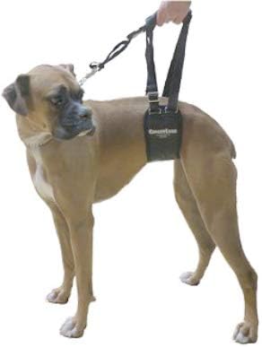 Dog Rear Sling Support Harness, SM Female, Machine Wash & Dry | Fits Small to Medium Size Dogs or Larger Barrel-Chested Breeds like Boxers, Bullies. Padded, Integrated Leash. Made in U.S.A.