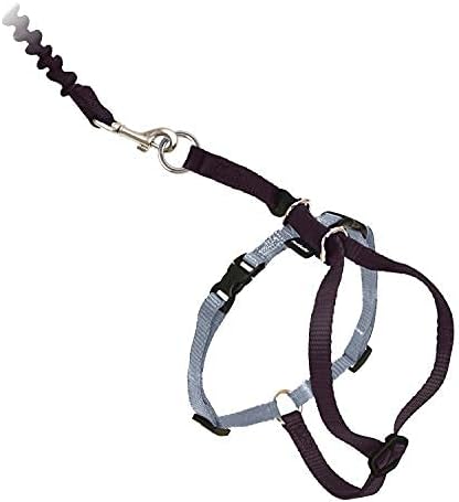 PetSafe Come with Me Kitty Harness and Bungee Cat Leash, Black, Small | Adjustable 2-Point Fit Applies Gentle Pressure to Shoulders, Not Neck, for Kittens and Small Cats with 9 in - 11 in Girth