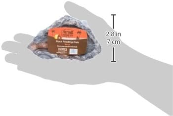 Fluker's Rock Bowl, Food & Water Dish for Hermit Crabs, Small 4" (Pack of 6)