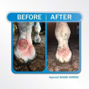 Liquid Bandage, 2 Pack Spray on Wound Care for Horses, Livestock, Large Animal First Aid, Woman Owned Small Business