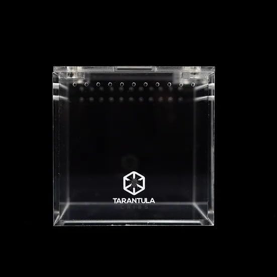 Tarantula Cribs Cube 4 inch