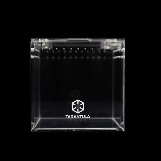 Tarantula Cribs Cube 4 inch