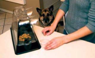 Purrrfect Cat Dish - Veterinarian-Designed Feeding Bowl Keeps Dogs Out