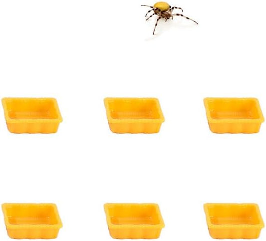 6 Pcs Hermit Crab Micro Food Bowl Ant Farm Small Water Dish for Hermit Crab Tarantula Snail Ant Millipede Tiny Bugs