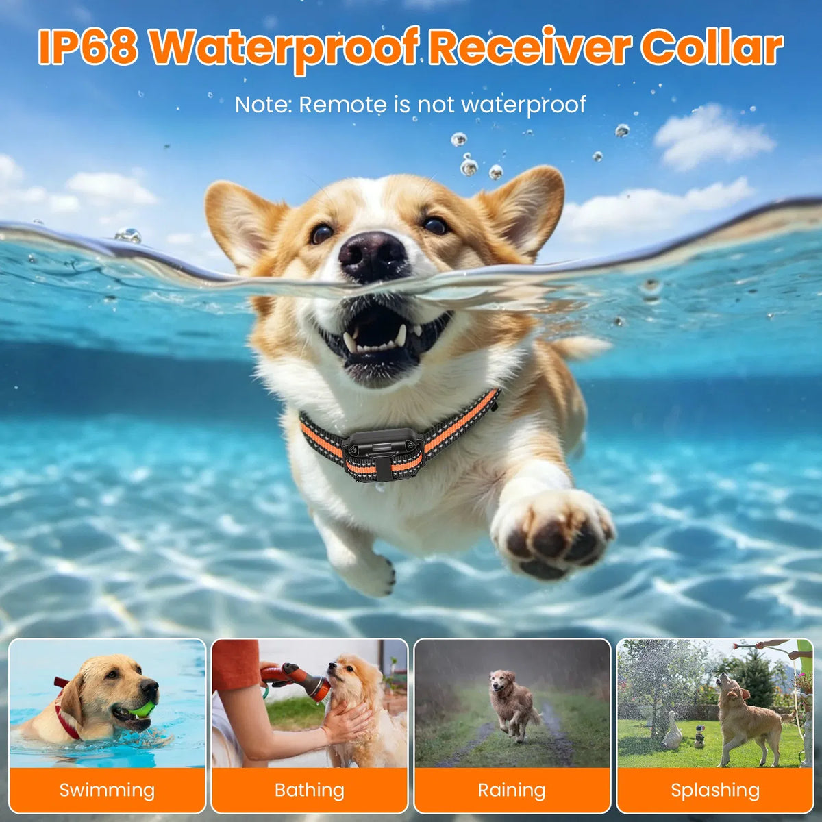 d63973d6725168db1012237a81dcfde0