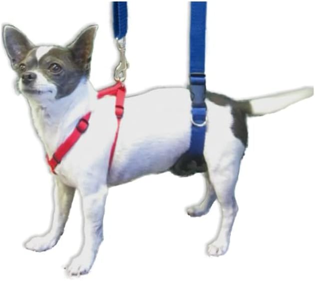 Dog Back Support IVDD Sling Harness, X-Small & Dachshunds | Fits Pets Under 25 lbs and Doxies, Walking Aid for K9s with Disc Disease, Fully Adjustable, Chest Harness NOT Included