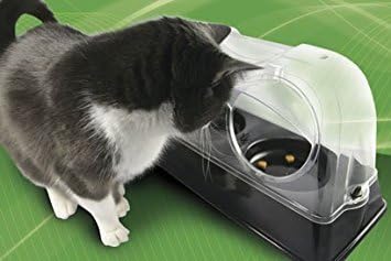 Purrrfect Cat Dish - Veterinarian-Designed Feeding Bowl Keeps Dogs Out