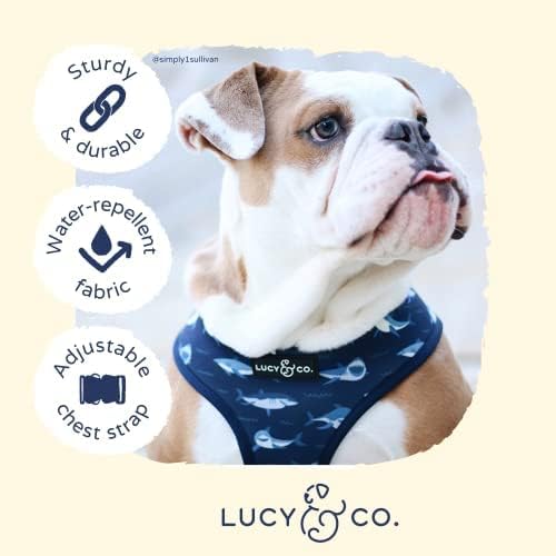 Lucy & Co. Reversible Dog Harness - Water-Repellent Neoprene, Dual-Print Design, Easy Swap Style, Adjustable Comfort Fit - Shark Attack Reversible Harness - Small