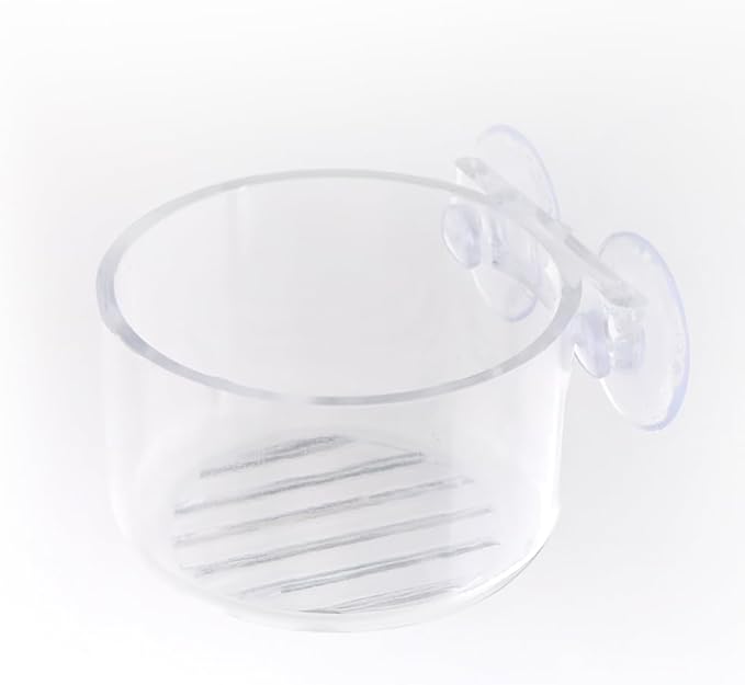 4 Pcs Jumping Spider Feeding Dish Water Bowl with Suction Cup for Jumping Spider Tarantula Millipede Small Reptiles