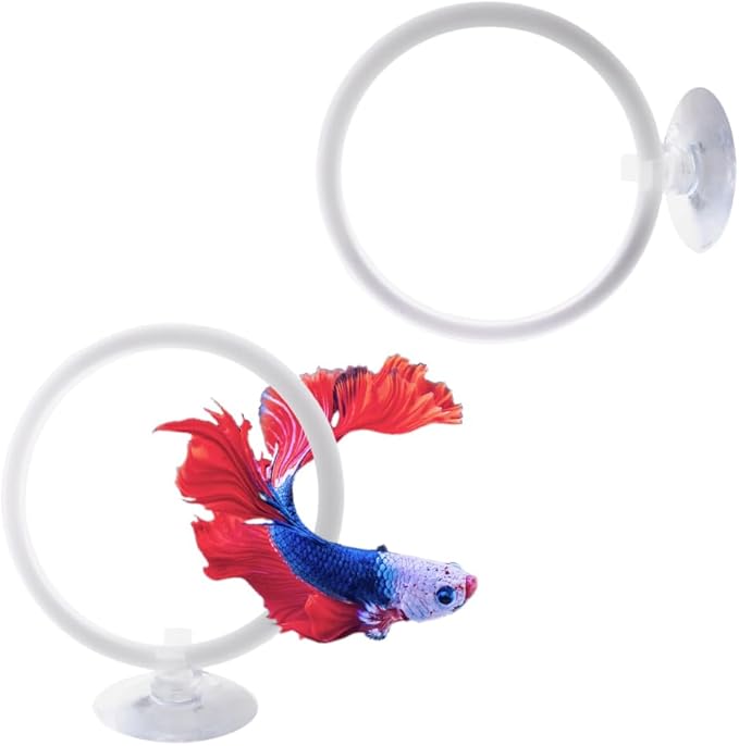 2 Pcs 2.87 Inch Betta Fish Exercise Ring, with Fixed Suction Cup Betta Tank Fish Work Out Toys for Aquarium Decor, Fish Tank Accessories Feeding Ring, White