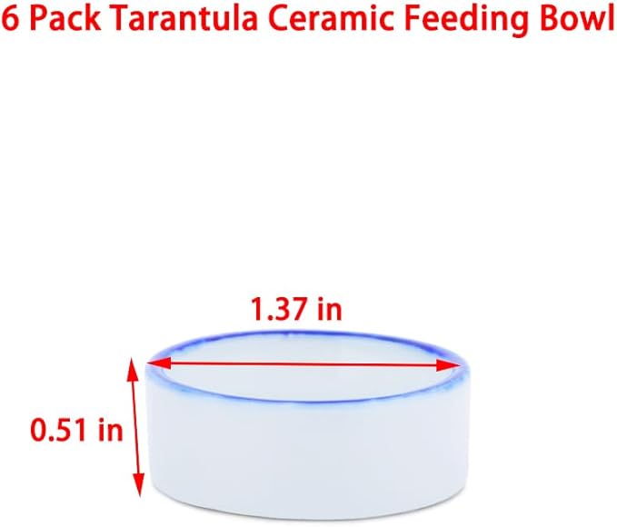 6 Pack Tarantula Ceramic Feeding Bowl Hermit Crab Water Bowl Spider Small Reptile Micro Ceramic Food Dish (1.37" D, 0.51" H)
