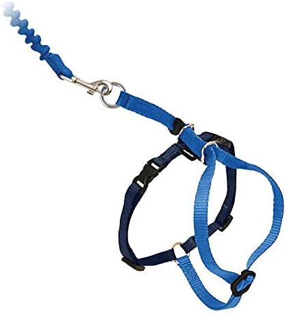 PetSafe Come with Me Kitty Harness and Bungee Cat Leash, Royal Blue, Medium | Adjustable 2-Point Fit Applies Gentle Pressure to Shoulders, Not Neck, for Small & Average Cats with 10.5 in - 14 in Girth