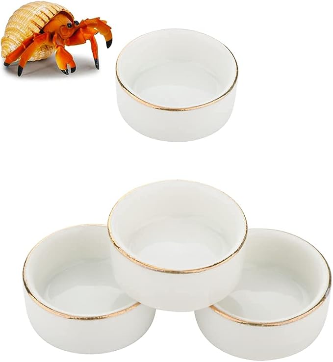 DQITJ 8 Pcs Hermit Crab Ceramic Water Bowl, Tarantula Mini Food Dish for Hermit Crab Tarantula Spider Millipede Tiny Bugs