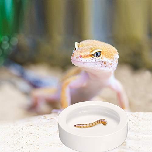 Meanplan 4 Pcs Reptile Bowl Food Dish Reptile Water Food Feeding Dish Ceramic Worm Pet Bowl Anti Escape Feeder for Lizard Anoles Chameleon Bearded Dragon Hermit Crab(2.71 Inch)