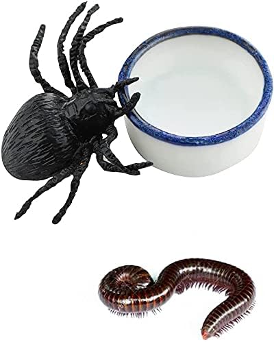 Tarantula Micro Water Bowl Spider Anti-Turnover Bowl for Small Hamster Tarantula Spider Scorpion Cricket Snail Manti Millipede Tiny Bugs Reptile Terrarium Cage Accessories (S (0.86''dia),8 Pcs)