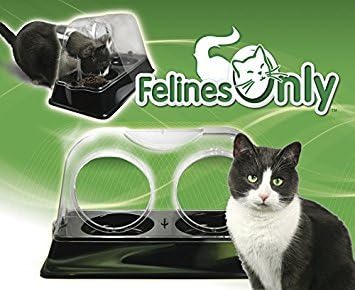 Purrrfect Cat Dish - Veterinarian-Designed Feeding Bowl Keeps Dogs Out