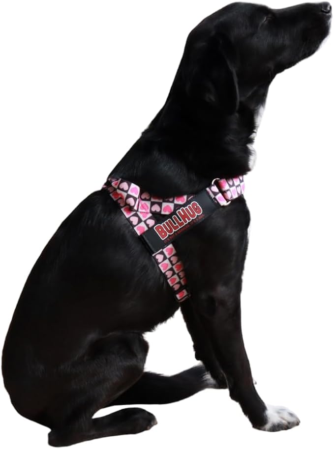 Adjustable Dog Harness– No Pull, No Choke – for English Bulldogs, French Bulldogs, Pugs & Broad-Chested Breeds – Easy, Safe Walks (Check, Small)