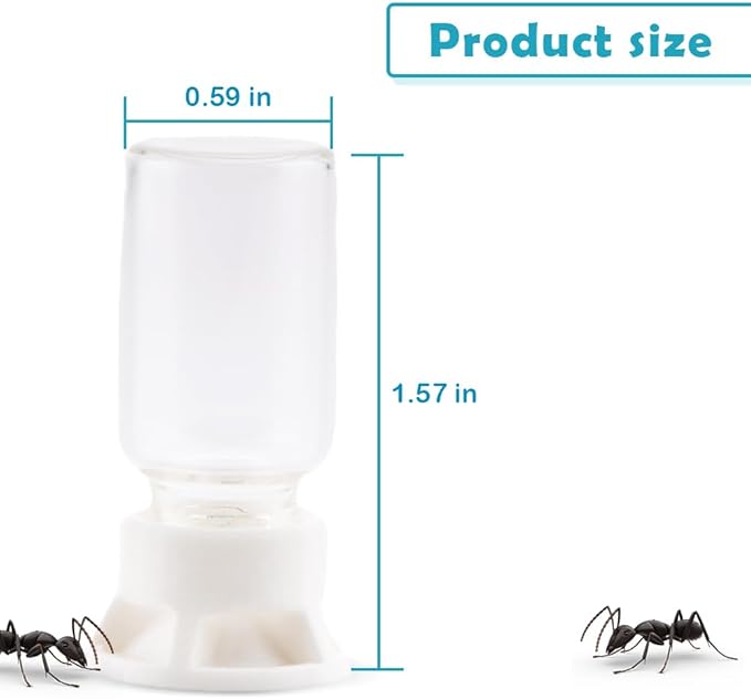 5 Pcs Jumping Spider Ant Water Feeder Bee Plastic Water Feeding Tarantula Water Bowl Spider Feeder (Capacity: 20ml)