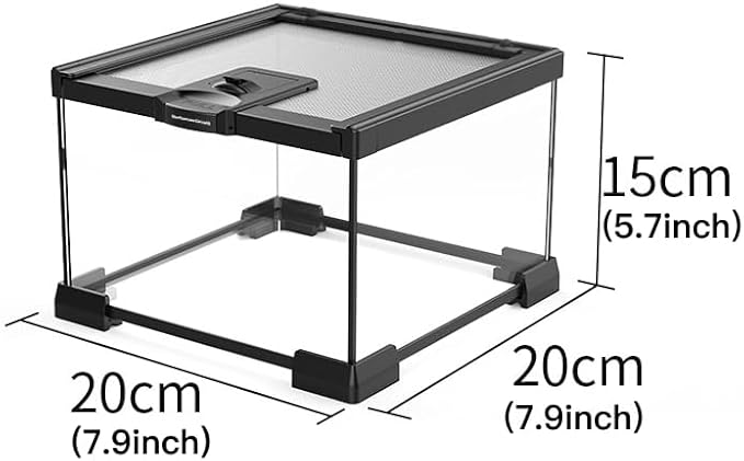 AWXZOM Mini Reptile Glass Terrarium Tank, cage for Tarantula Sling Geckos, Frog, Lizards, Chameleons,Turtles Snake Snail Insect Hermit Crab Isopods Reptiles Enclosure (7.9x7.9x5.7inch)