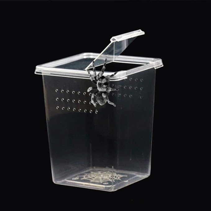 3 Pcs Acrylic Transparent Insect Reptile Spider Terrariums Breeding Box Hatching Container,Portable Small Reptile Animal Habitat Cage,Plastic Transport Container(Big Size)